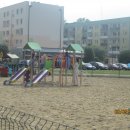 dnio 117